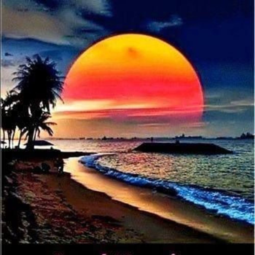 Meet your Posher, Nicky